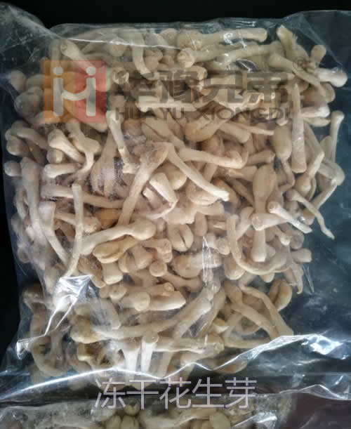 LGJ-12S冷凍干燥機